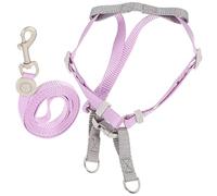 2 Sets Adjustable Cat Harness Cat Walking Leash Pet Leash Small Dog Harness Invisible Cat Leash Dog Walking Leash Cat Ha (A 2 150x1cm)