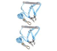 2 Sets Adjustable Dog Nylon Leash Small for Dog Puppy Leash Dog Leashes Escape Large Bunny Tank Polyester Pet Walk The D