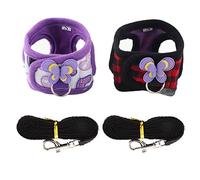 2 Sets Guinea Pig Harness and Leash, Rat Harness and Leash, Adjustable Hamster Ferret Harnesss and Leashs Set Chinchilla Walking Vest for Squirrel Hamster (S)