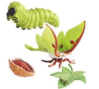 2 Sets Insectt Life Cycle Figurines, Pp Tasteless Insectt Life Cycle Toys, Insectts Growth Cycles Model, Lifes Cycles Figures, Educational Learning Toy, Kids Figure Animal Match Set For Learning Aids