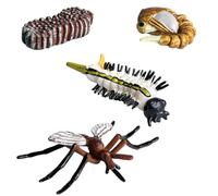 2 Sets Insectt Life Cycle Figurines, Pp Tasteless Insectt Life Cycle Toys, Insectts Growth Cycles Model, Lifes Cycles Figures, Educational Learning Toy, Kids Figure Animal Match Set For Learning Aids