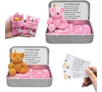 2 Sets Little Pocket Bear Hug in a Box Plush Doll Keychain Positivity Gifts Miss You Gift First Day at School Gifts Soft and Cute Pocket Hugs Bear for Women and Teens (Pink, Brown)