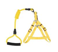 2 Sets Pet Leash Nylon Dog Service Dog Leash Outdoor Vest for Small Dogs Padded Dog Vest Dog Walking Vest Pet Training L