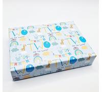 2 Sheets 2 Tags 2nd Birthday Boy Age 2 Animals Rainbow Wrapping Paper Age Two Male Blue Giftwrap (PA)