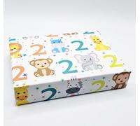 2 Sheets 2 Tags 2nd Birthday Boy Girl Unisex Multi Coloured JUNGLE Theme Wrapping Paper Age 2 Cute Fun Attractive Birthday Giftwrap (PA)