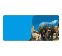 2-sided poster 1 roll of 15 meters Reptiles Planet Desert/Bleu Terrarium