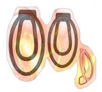 2 Sizes Male Lightweight Protection Fufu Clips, Protection Cage Accessories Set for Men -UKHA24 (Black)