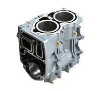 2-Stroke Boat Engine E40X 40HP Crankcase Cylinder Block 66T-15100 66T-15100-02-1S Compatible With Marine Outboard Motor Parts