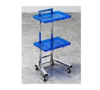 2-Tier Foldable Rolling Cart, Stainless Steel & Acrylic Salon Tray with Wheels, Portable Utility Trolley for Hair, Color, Tattoo & Spa