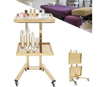 2 Tier Foldable Tray Trolley, Stainless Steel Salon Cart with Wheels, Multifunctional Utility Cart ,Beauty Salon SPA Rolling Cart, Kitchen Storage Trolley Utility Tray Car(Gold)
