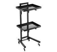 2-Tier Hairdresser Trolley - Mobile Salon Cart, Free Standing Storage nizer Tray for Beauty Services, Professional Hairdressing Trolley with Square Design