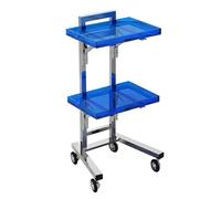 2 Tier Rolling Storage Cart, Clear Acrylic Rolling Utility Cart, Stainless Steel Salon Tray for Beauty SPA Salon Studios Shop(Blue)