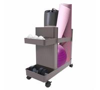 2-Tier Workout Equipment Organizer with Wheels for Home Gym Storage