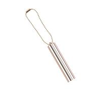 2 Travel-Size Hygienic Lip Brush Soft Round Head & Lightweight Aluminum Tube for Precise Concealer Application Silicone Lip Brush with Cover