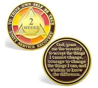 2 Week Sobriety Chips,Tri-Plate 14 Days AA Medallion 2 Week Sober Chip