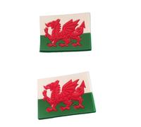 2 Welsh Flag Shoe Charms For Crocs & Jibbitz Wristbands