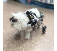 2-Wheel Dog Pet Stroller Dog Pet Wheelchair, DogWheelchair,Adjustable Aluminum Alloy Hind Leg Assisted Walking Frame Rehabilitation Handicapped Pet Cart