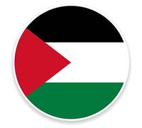 2 x 10cm/100mm Palestine Flag Window Cling Sticker Car Van Campervan Glass #9162