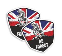 2 x 10cm AE Forest MTB Dumfries Vinyl Stickers - Scotland Mountain Biking Bike 7stanes Sticker #70881