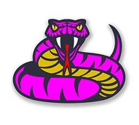 2 x 10cm Angry Pink Snake Vinyl Sticker Laptop Tablet Car Girls Fun Animal #6683 (10cm Wide x 7.5cm Tall)
