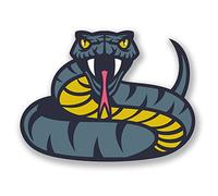 2 x 10cm Angry Snake Vinyl Sticker Laptop Tablet Car Bike Animal Snakes #6682 (10cm Wide x 7.5cm Tall)