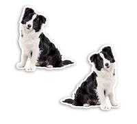 2 x 10cm Border Collie Puppy Vinyl Stickers - Dog Sticker Luggage Laptop #20696 (10cm Tall)