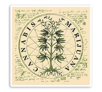 2 x 10cm Cannabis Marijuana Plant Vinyl Stickers - Weed Laptop Sticker #31457 (10cm Wide)