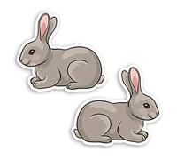 2 x 10cm Cute Grey Bunny Rabbit Vinyl Stickers - Rabbits Pet Kids Sticker #29072