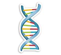 2 x 10cm DNA Double Helix Vinyl Stickers - Science Biology Uni Sticker #29056