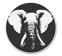2 x 10cm Elephant Vinyl Sticker Decal Laptop Car Tablet Fridge Africa Fun #6211 (10cm x 10cm)