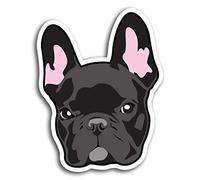 2 x 10cm French Bulldog Dog Vinyl Stickers - Sticker Laptop Luggage #19309 (10cm Tall)