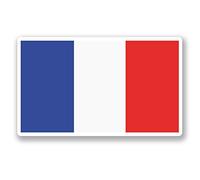 2 x 10cm French Flag Vinyl Sticker iPad Laptop Car Travel Luggage France #5266 (10cm Wide x 6cm Tall)