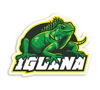 2 x 10cm Green Iguana Vinyl Stickers - Lizard Reptile Animal Sticker #29251