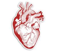 2 x 10cm Heart Drawing Vinyl Stickers - Art Tattoo Biology Laptop Sticker #31727 (10cm Tall)
