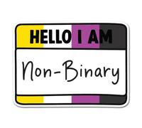 2 x 10cm Hello I Am Non Binary Flag Vinyl Stickers - Label Rights LGBTQ Pride Non-Binary Month Flag Identity Decal Scrapbook Sticker #83082
