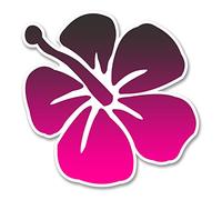 2 x 10cm Hibiscus Flower Vinyl Stickers Car Bike Laptop Helmet Hawaii Surf #6257 (10cm x 10cm)