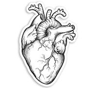 2 x 10cm Human Heart Vinyl Stickers - Doctor Uni Biology Science Sticker #34417 (10cm Tall)