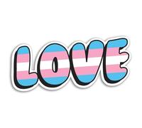 2 x 10cm Love Transgender Flag Vinyl Stickers - Trans LGBTQ Gay Flag Identity Decal Men Women Non-Heterosexual Scrapbook Sticker #81974