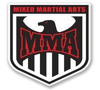 2 x 10cm MMA Mixed Martial Arts Vinyl Sticker Bike Laptop Boxing Fighting #5173 (10cm x 10cm)
