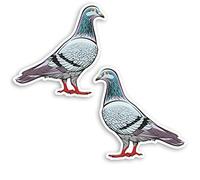 2 x 10cm Pigeon Bird Vinyl Stickers - Pigeons Cute Nature Sticker #29244