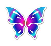 2 x 10cm Pretty Butterfly Vinyl Stickers Laptop Helmet Car Bike Tablet Fun #6268 (10cm Wide x 8cm Tall)
