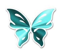 2 x 10cm Pretty Butterfly Vinyl Stickers Laptop Helmet Car Bike Tablet Fun #6270 (10cm Wide x 8cm Tall)