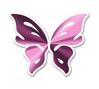 2 x 10cm Pretty Butterfly Vinyl Stickers Laptop Helmet Car Bike Tablet Fun #6271 (10cm Wide x 8cm Tall)