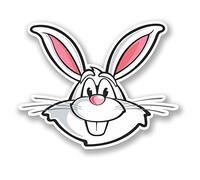 2 x 10cm Rabbit Vinyl Sticker Laptop Helmet Car Bike Kids Decal Animal Fun #5688 (10cm Wide x 8cm Tall)