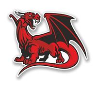 2 x 10cm Red Dragon Vinyl Sticker Decal Bike Laptop Car Wales Welsh Angry #6003 (10cm Wide x 8.5cm Tall)