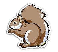 2 x 10cm Red Squirrel Vinyl Stickers - Animal Wild Sticker Laptop Luggage #17193 (10cm Tall)