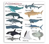 2 x 10cm Sharks Whales Fish Vinyl Stickers - Ocean Marine Biology Sticker #30450 (10cm Wide)