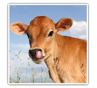2 x 10cm Square Vinyl Stickers - Jersey Cow Calf Cattle Farm Decals 15585