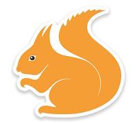 2 x 10cm Squirrel Sticker Car Bike Laptop Helmet Animal Wild Woodland Kids #9175 (10cm Wide x 10cm High)