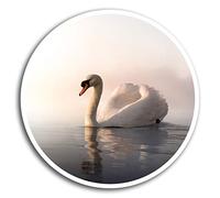 2 x 10cm Swan Vinyl Stickers - Pretty Girls Lake Sticker Laptop Car Art #8325 (10cm Wide)